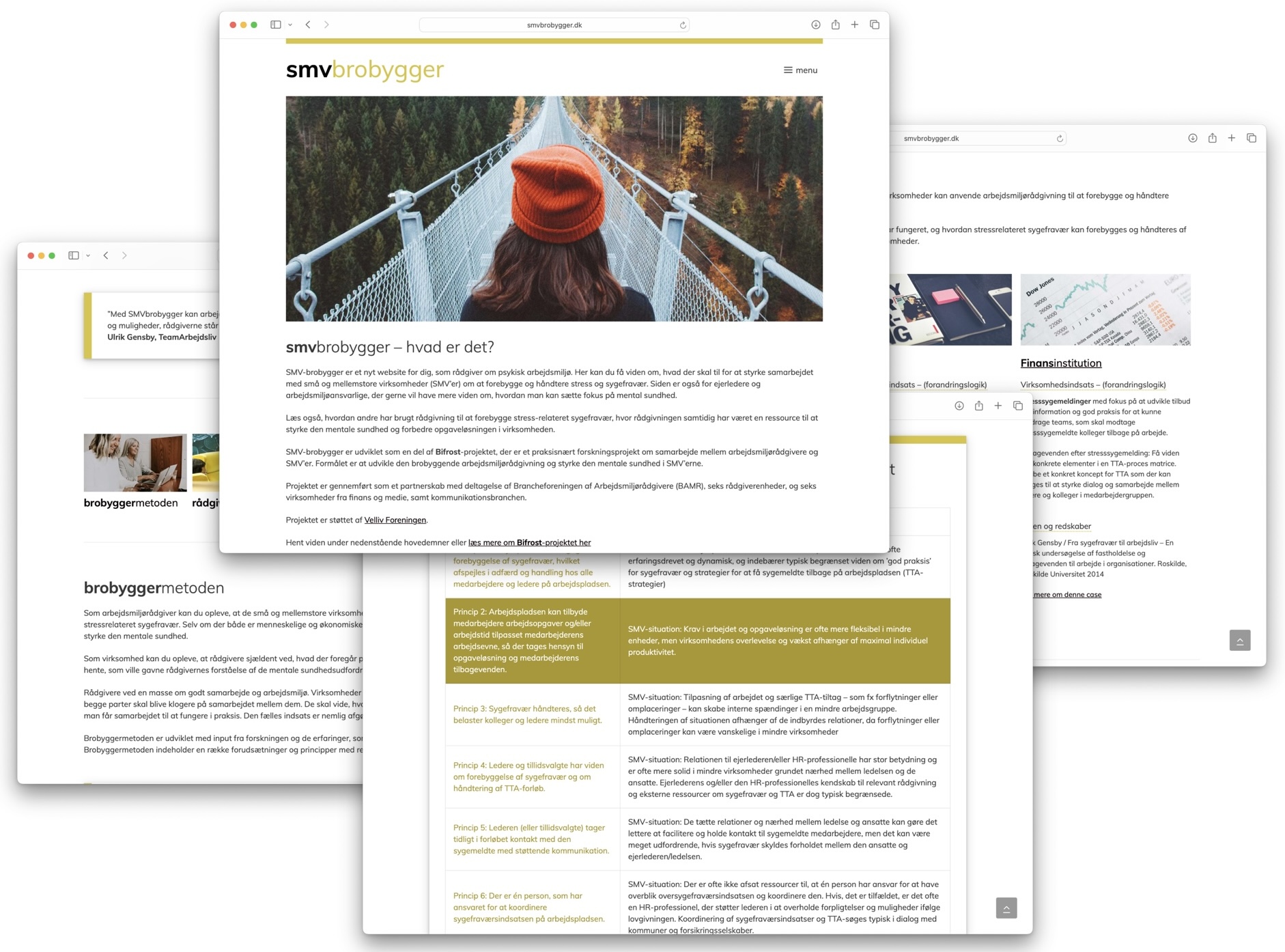 Visuel identitet + website SMVbrobygger
